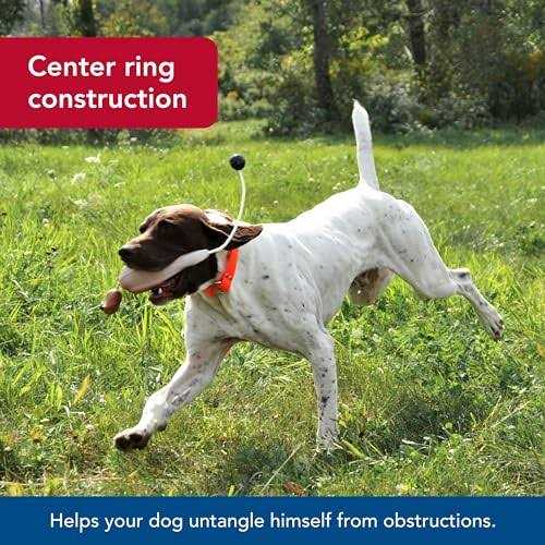 Waterproof Dog Collar G651313