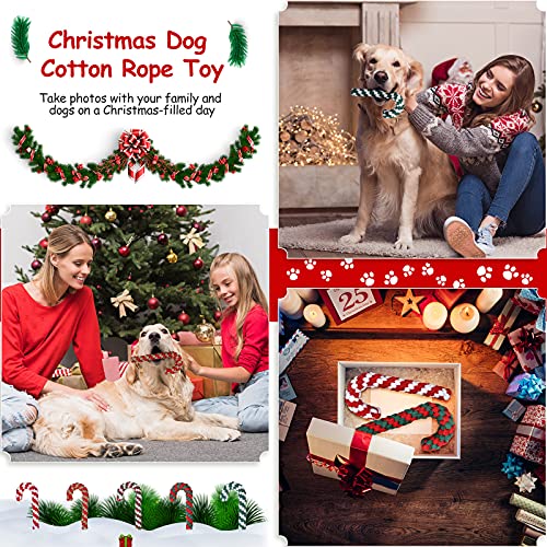 5 Pack Christmas Dog Chew and Training Toys J144