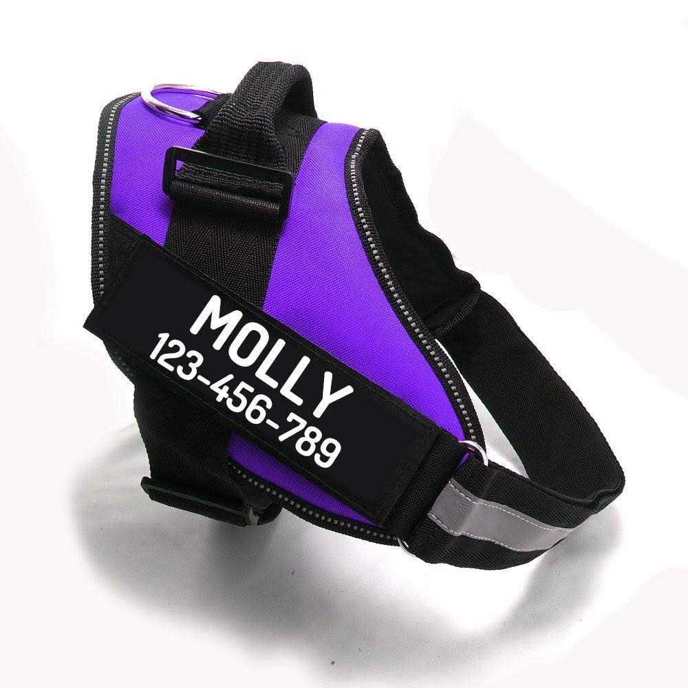 Easy-On No Pull Dog Harness P818