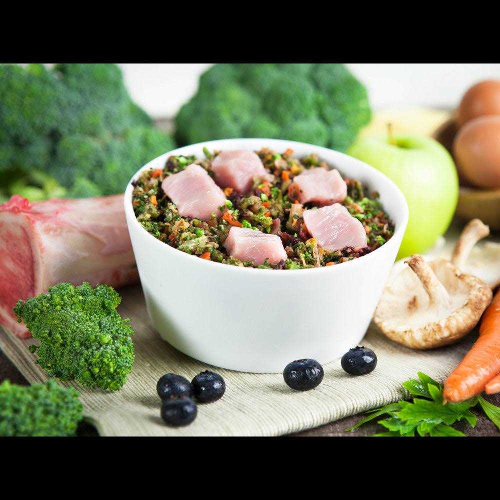 Raw Vibrance Dog Food Q669