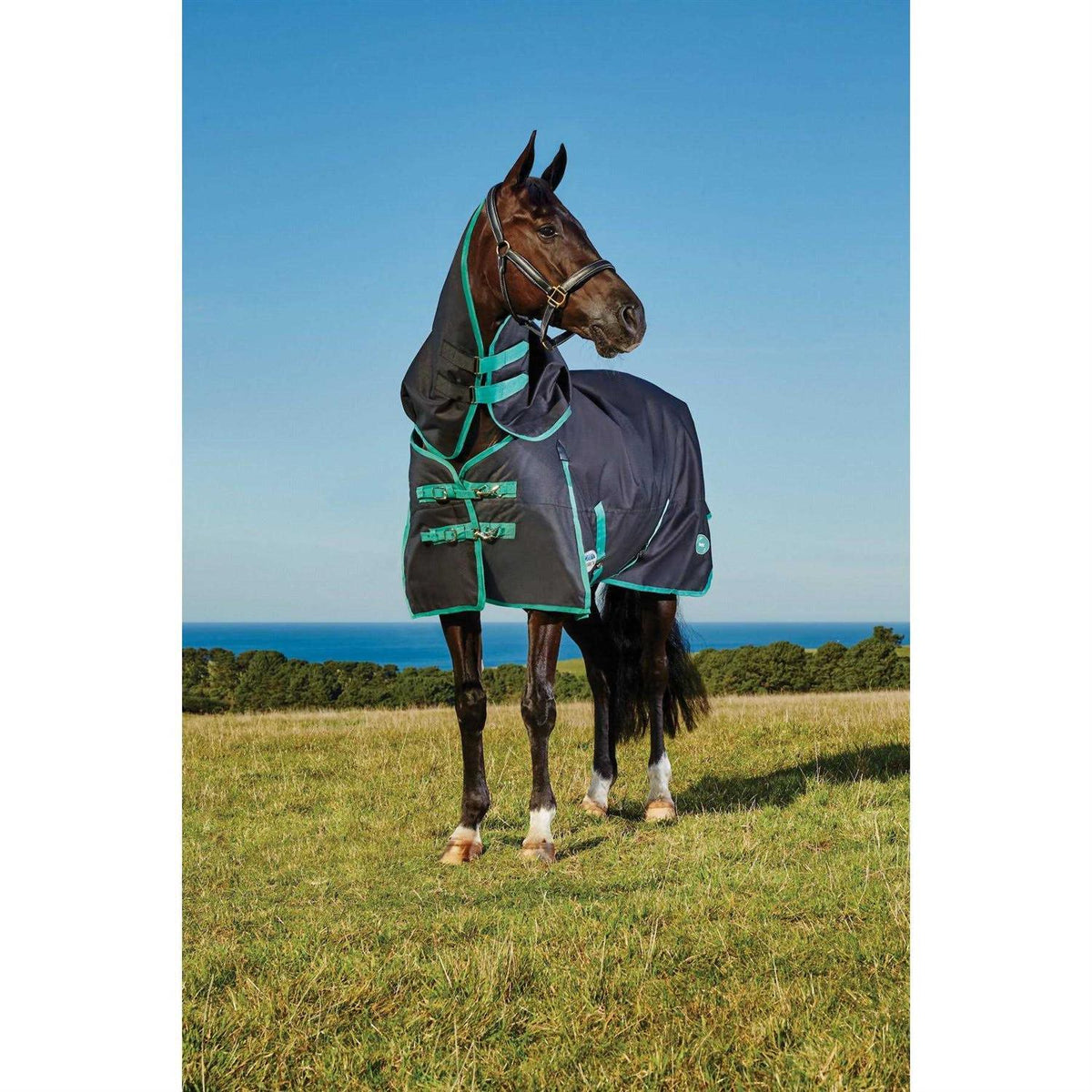 Dog Rear Leg Hock Joint Wrap Brace V1348