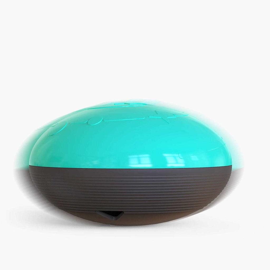 Interactive Pet Toy Food Treats Dispensing Toy N707