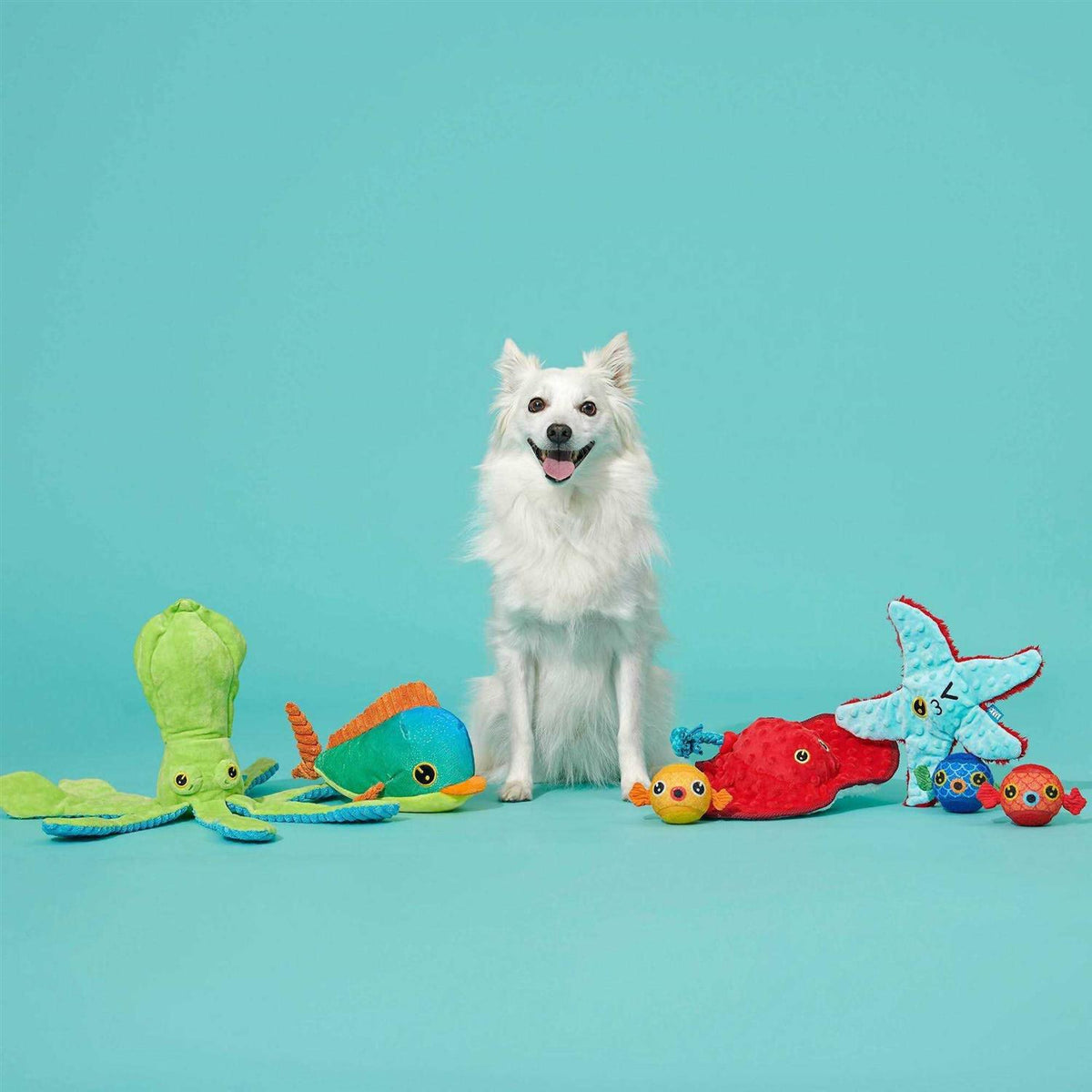Dog Toy J71732