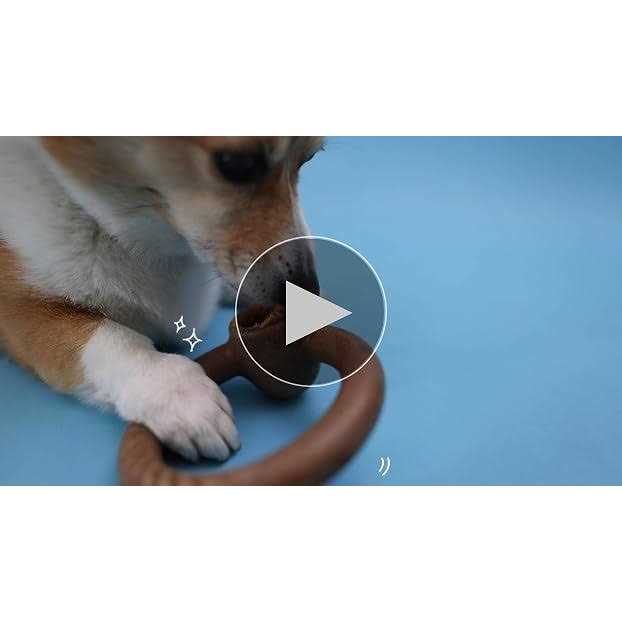 Durable Chew Toy for Aggressive Chewers H748964