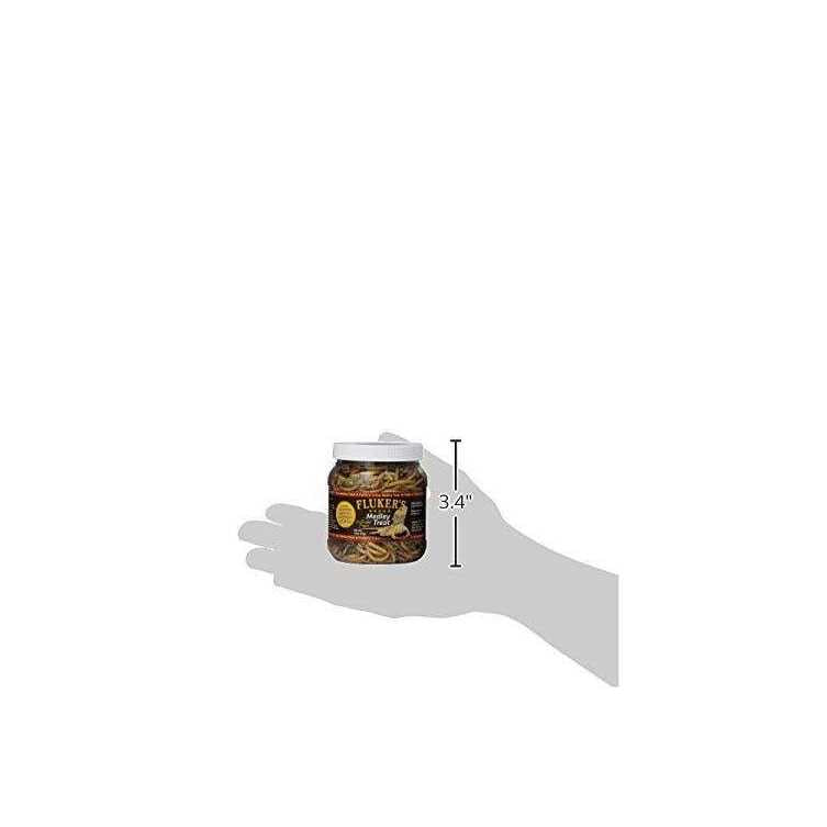 Bearded Dragon Medley Treat V490