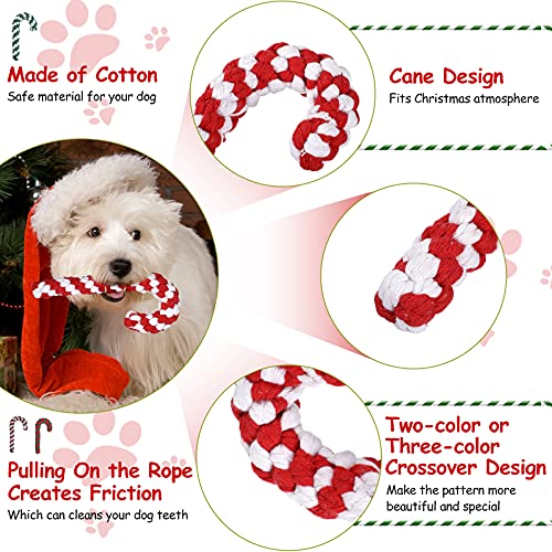 5 Pack Christmas Dog Chew and Training Toys J144