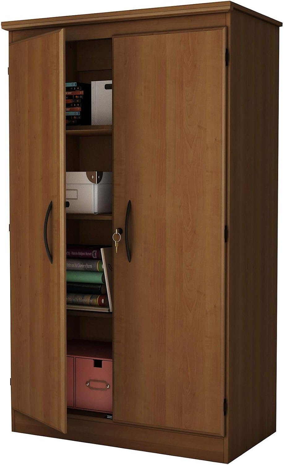 Black 2-Door Storage Cabinet with Adjustable Shelves C41959