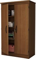 Black 2-Door Storage Cabinet with Adjustable Shelves C41959