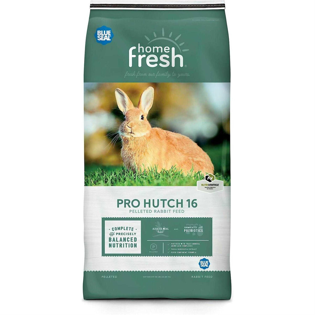 Rabbit Hutch I755