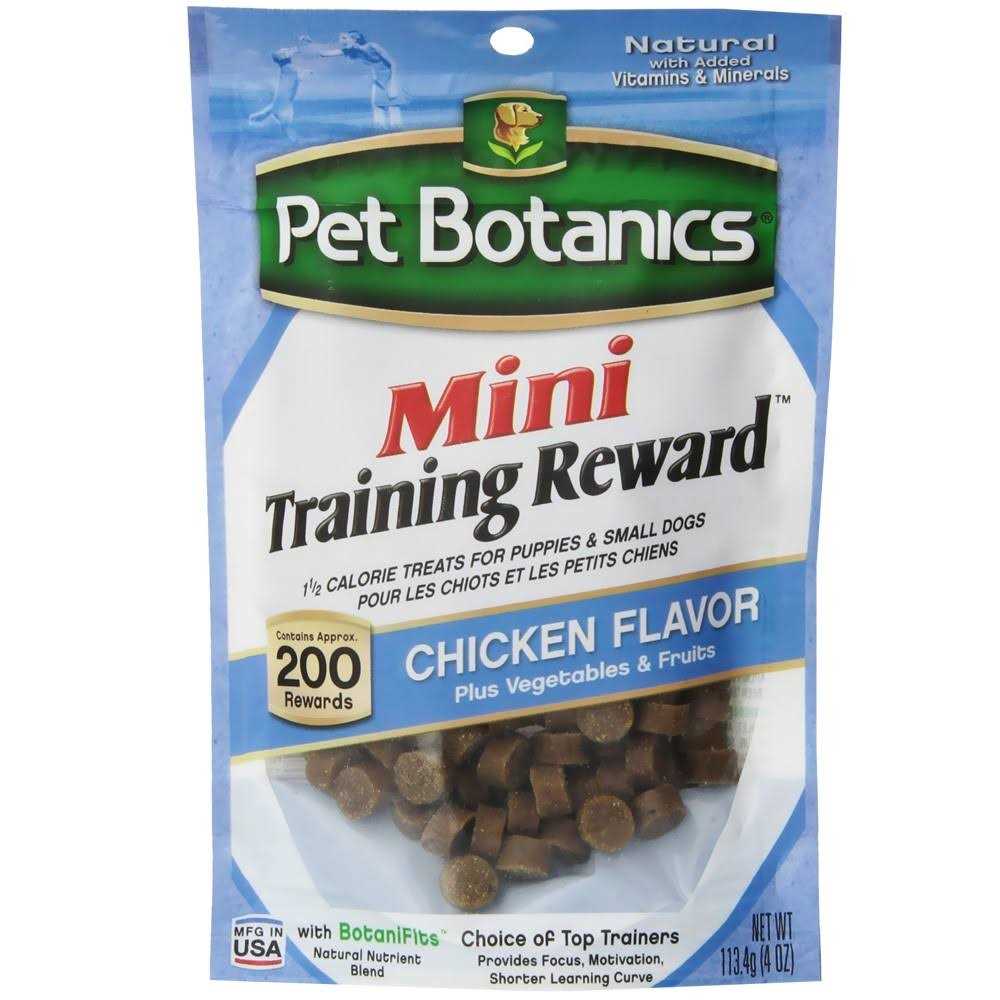 Mini Training Dog C2833