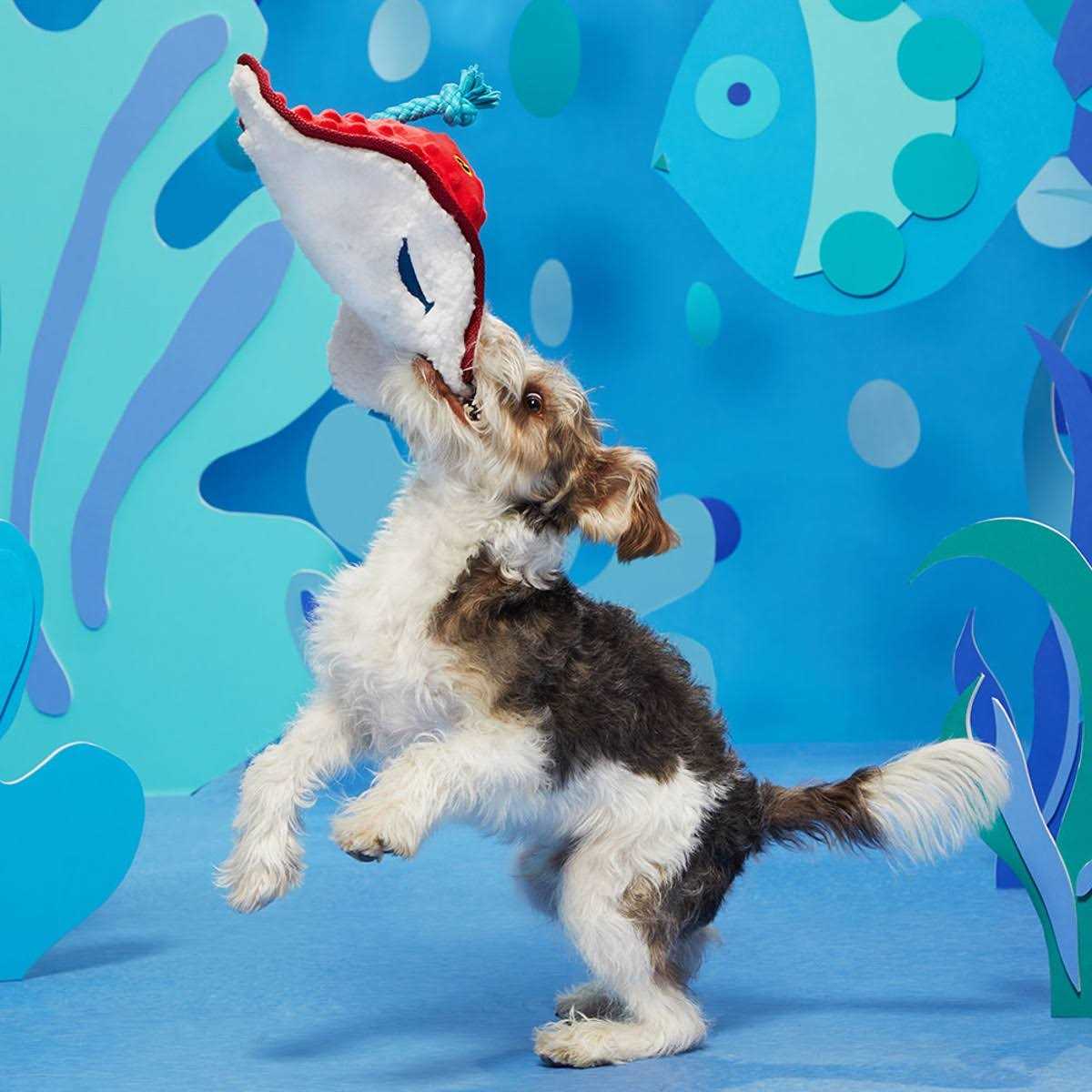 Dog Toy J71732