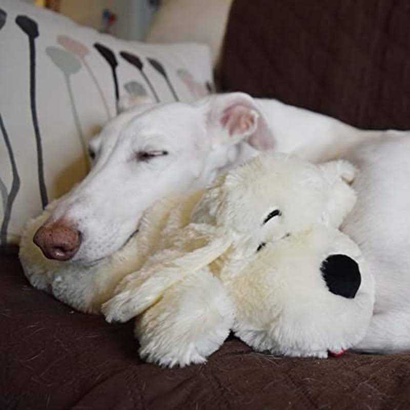 2 in 1 Interactive Plush Dog Toy B5474