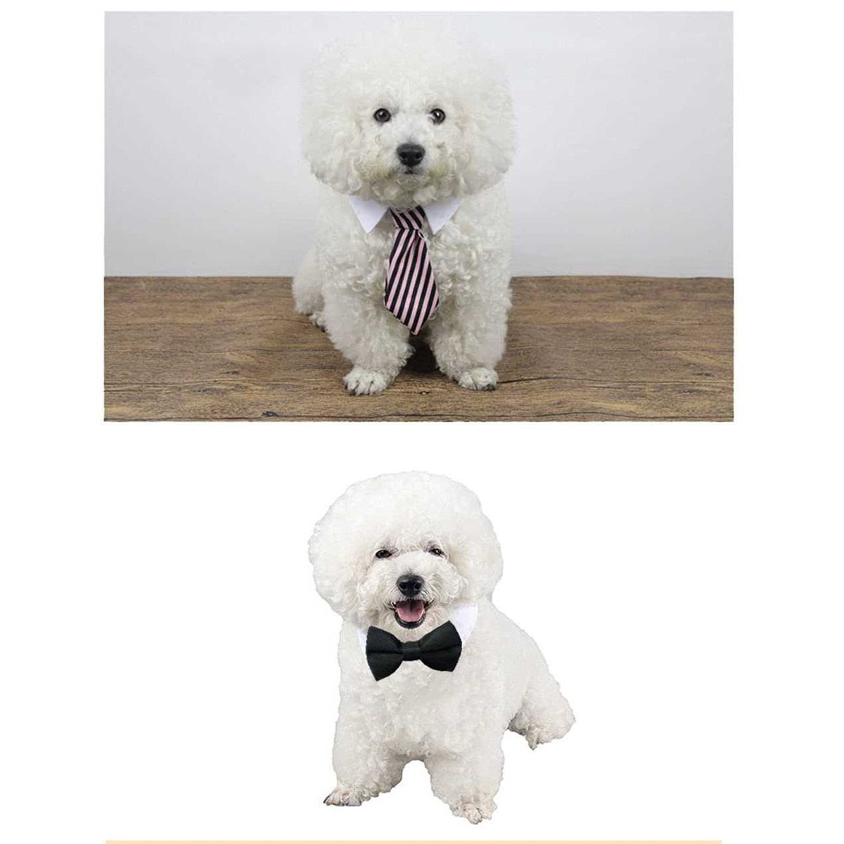 Adjustable Pet Bowtie Collar T6936