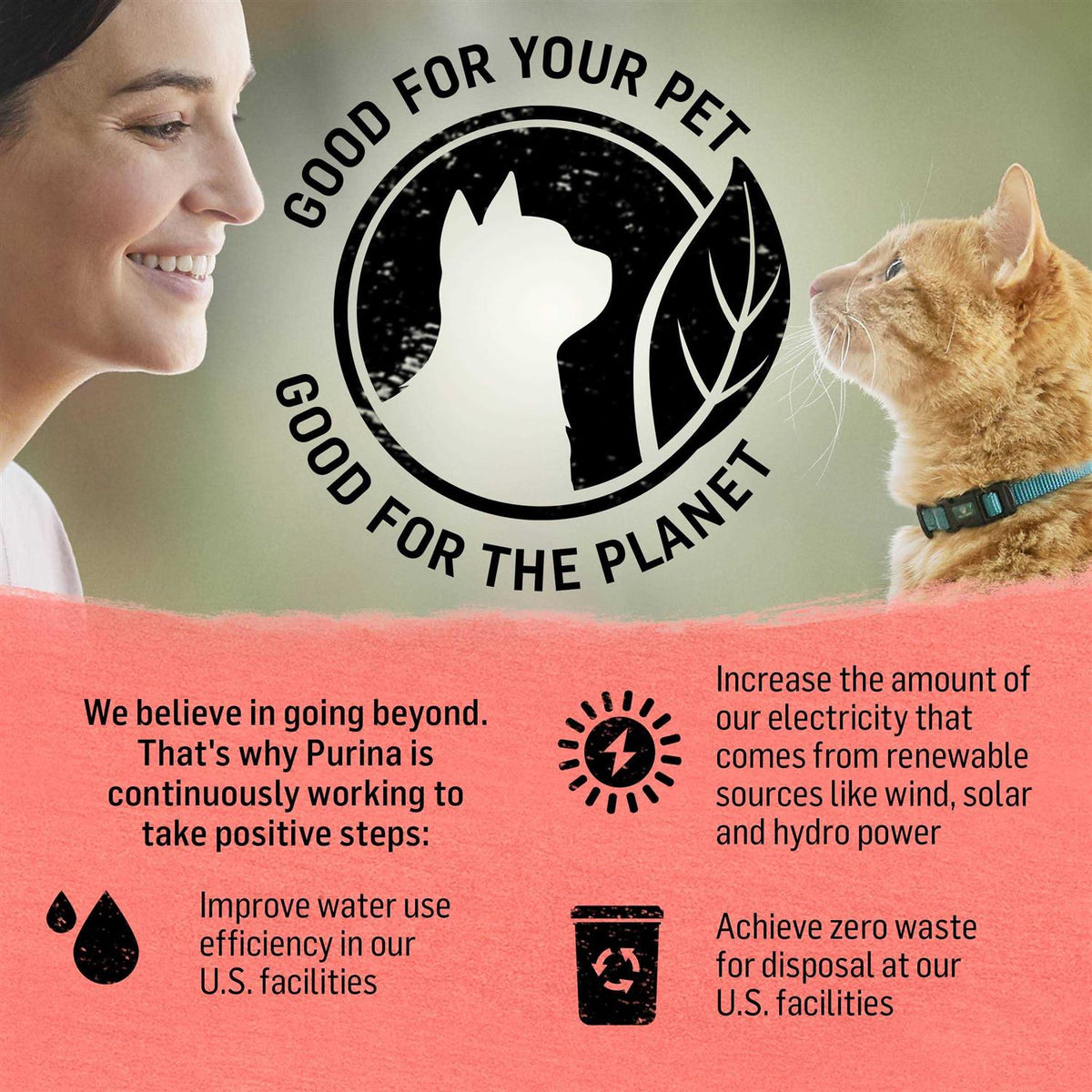 Cat Dry Food V93590