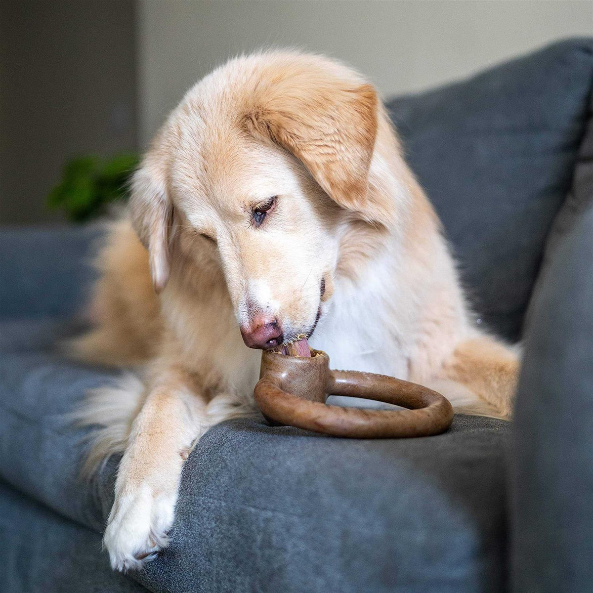 Durable Chew Toy for Aggressive Chewers H748964