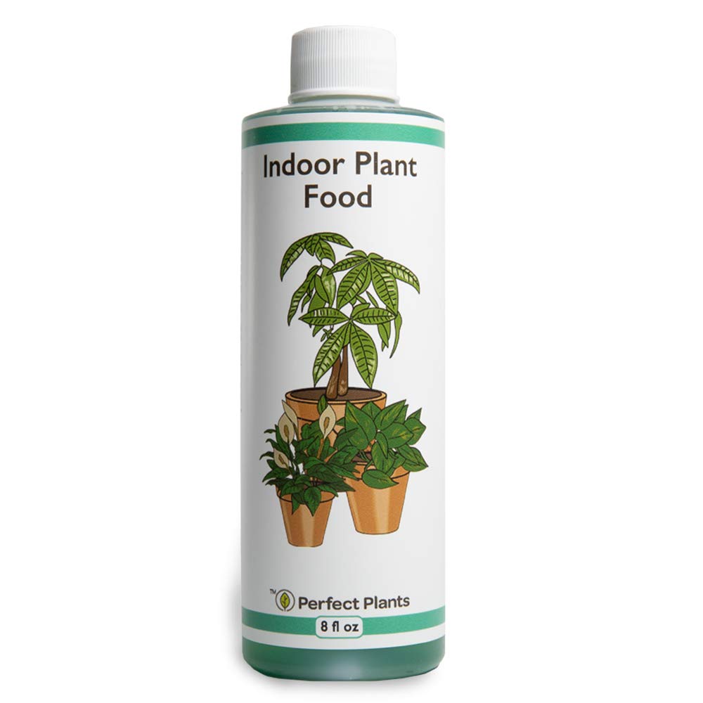 8oz Concentrated All-Purpose Liquid Plant Food E264