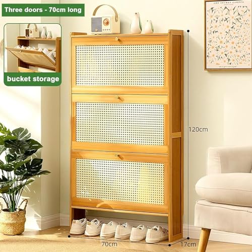 Slim Shoe Storage Cabinet With Doors K691