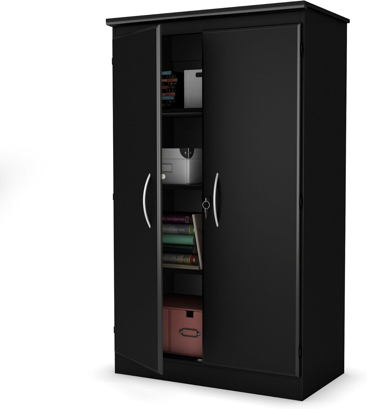 Black 2-Door Storage Cabinet with Adjustable Shelves C41959