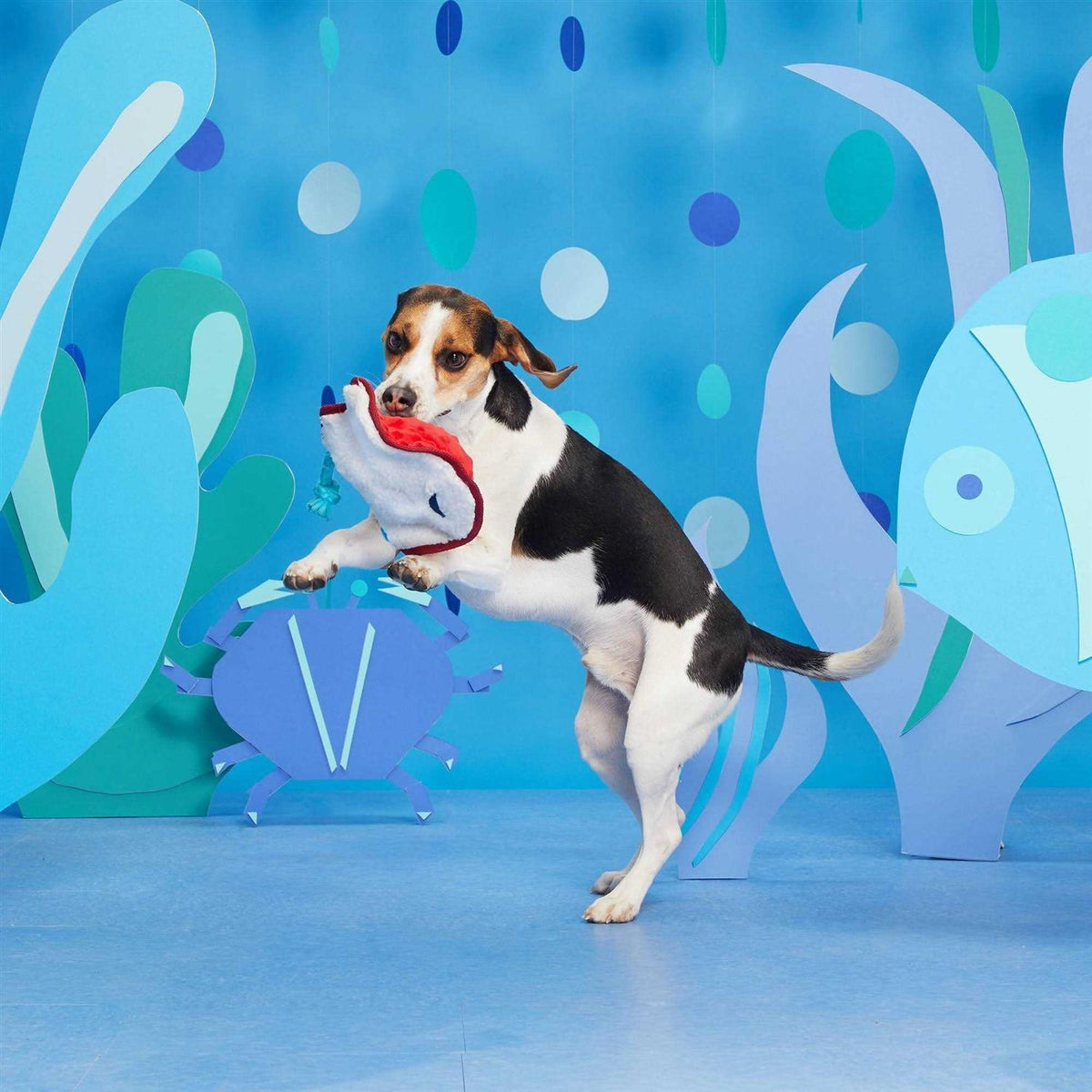 Dog Toy J71732