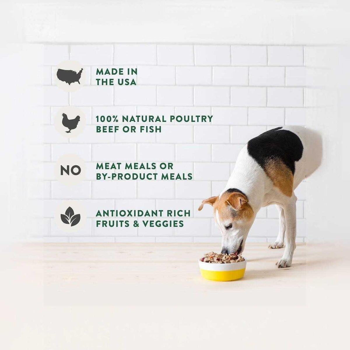 Grain Free Chicken Recipe Dog Food L2294