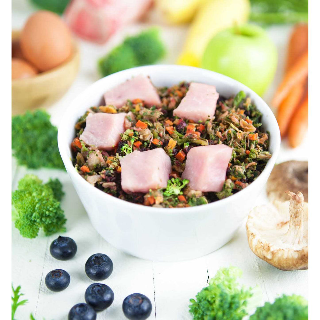 Raw Vibrance Dog Food Q669