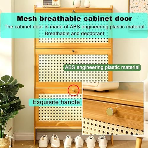Slim Shoe Storage Cabinet With Doors K691