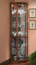 Lighted Glass Corner Curio Cabinet D5041