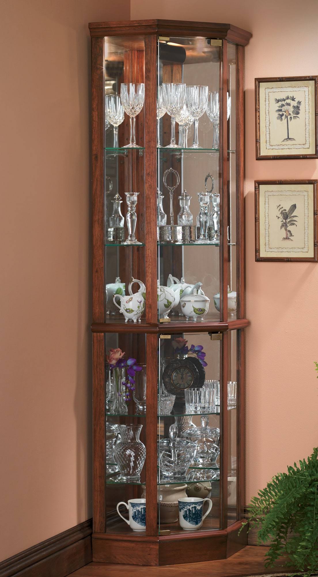 Lighted Glass Corner Curio Cabinet D5041