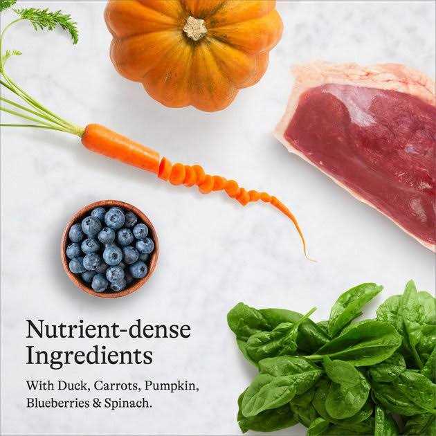 Salmon Grain-Free Dry Cat Food X459