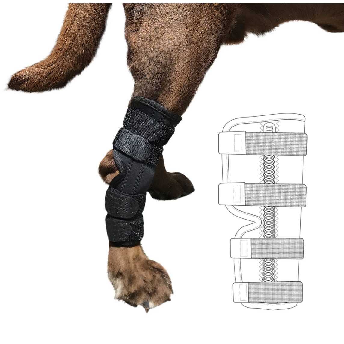 Dog Rear Leg Hock Joint Wrap Brace V1348