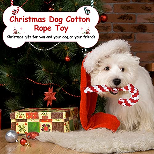 5 Pack Christmas Dog Chew and Training Toys J144