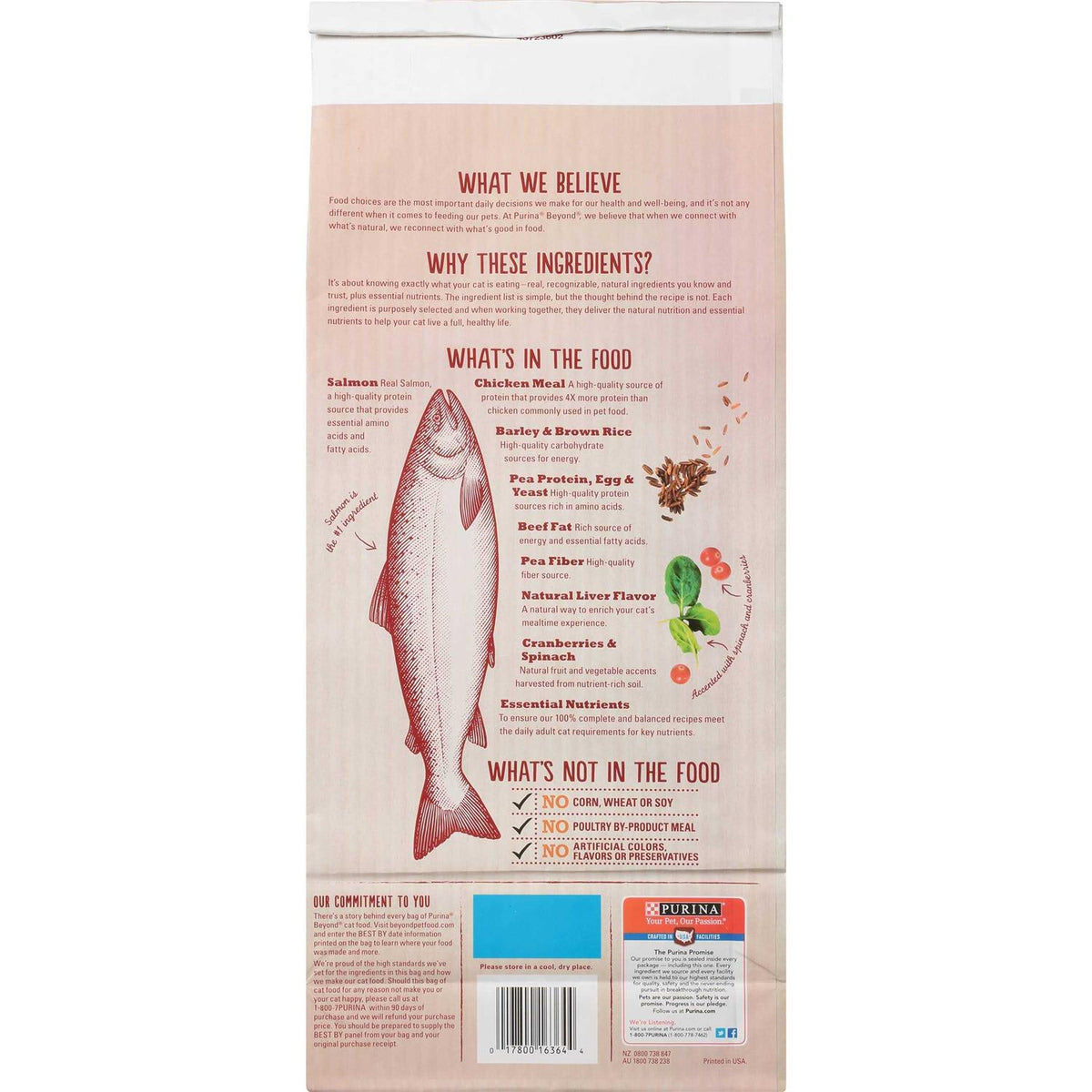 Cat Dry Food V93590