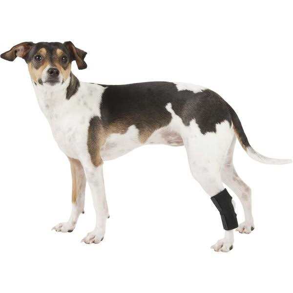 Dog Rear Leg Hock Joint Wrap Brace V1348