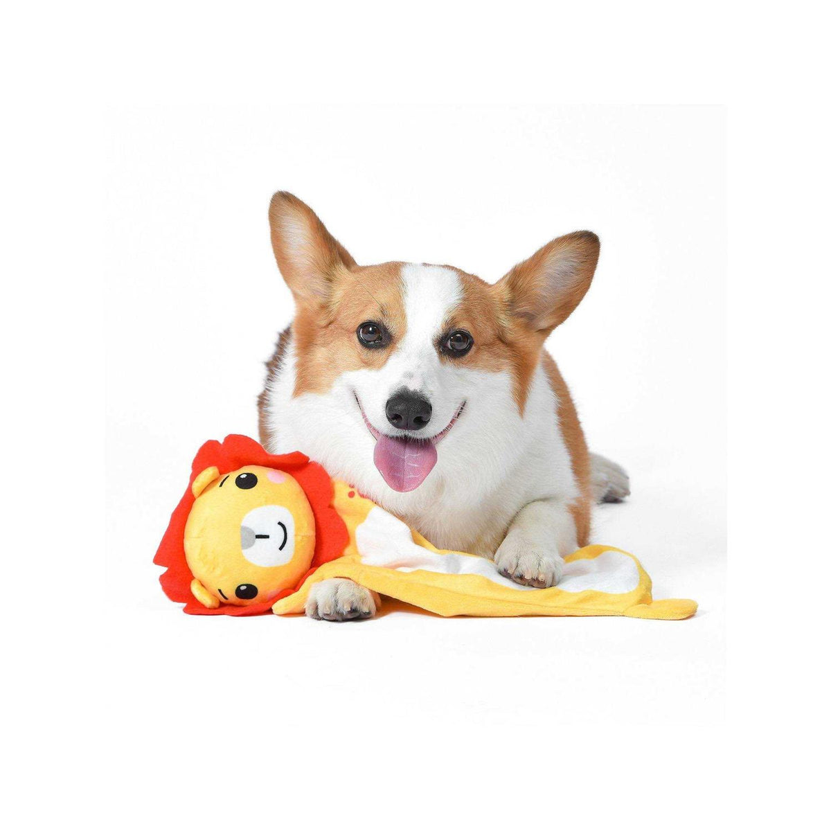 Dog Toy Z969582
