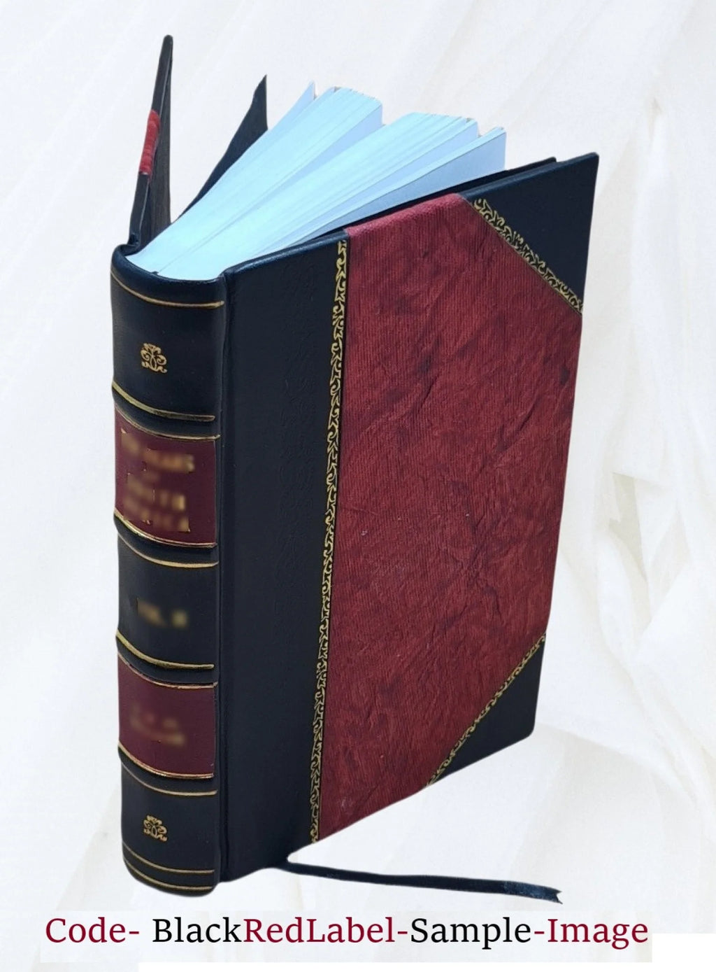 Village Homesteads and Families of Troutbeck by Windermere 1904 Leather Bound J4991