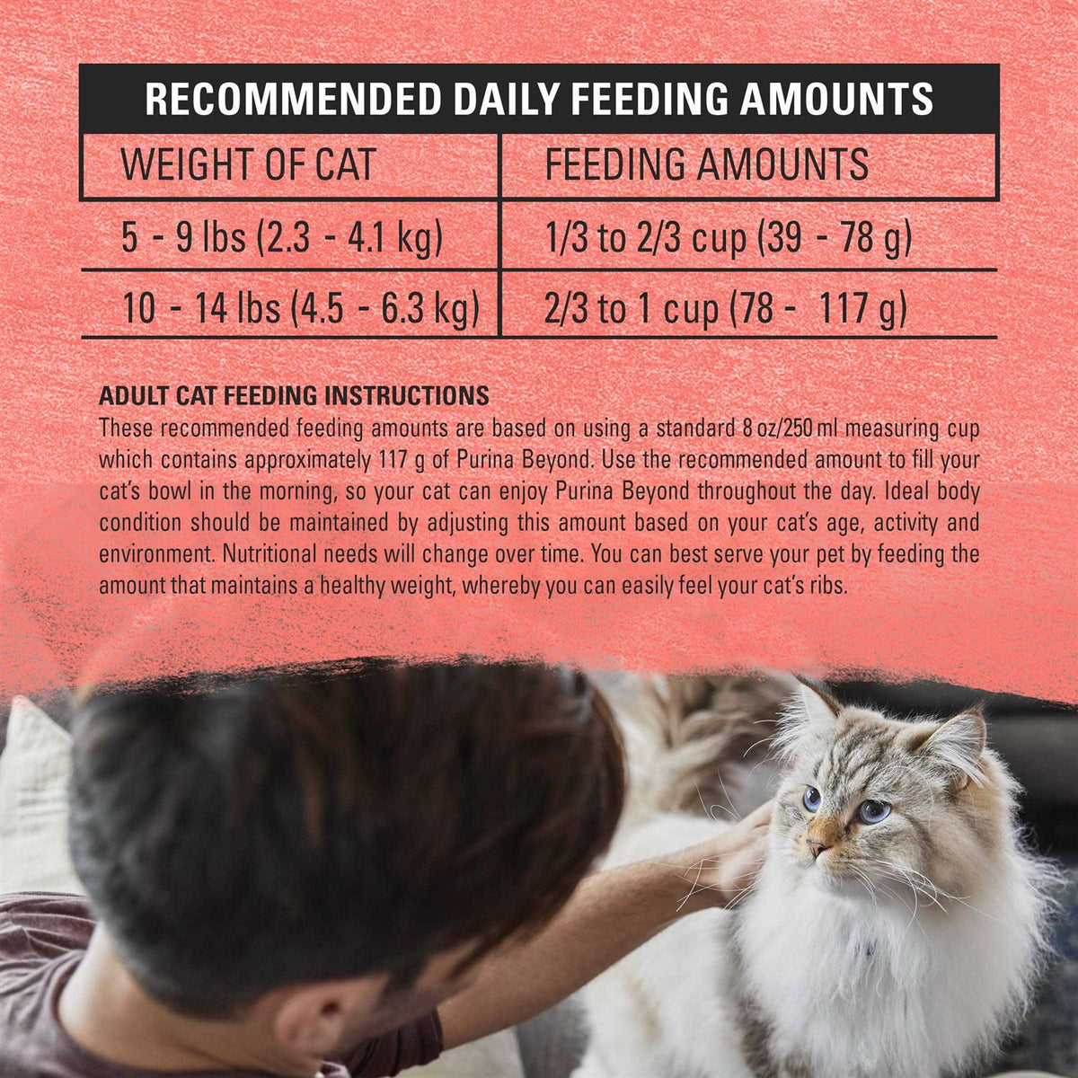 Cat Dry Food V93590